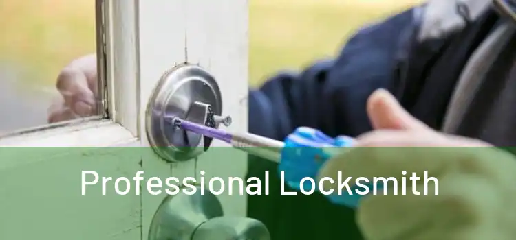  Professional Locksmith 